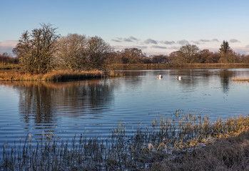 Stunning view of a Scottish Loch