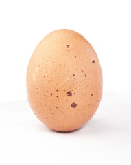 Brown egg on white background