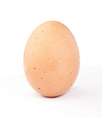 Brown egg on white background