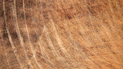 Background wood