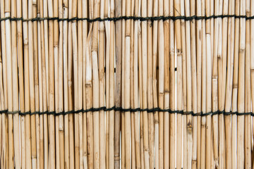 Bamboo wall
