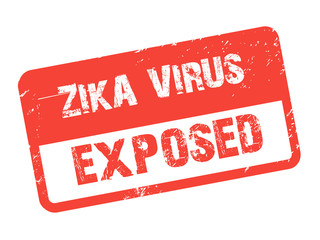 Red Zika Virus Exposed Rubber Stamp - 102484574
