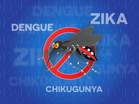 Stop Zika Mosquito Aedes Aegypti Pattern Background