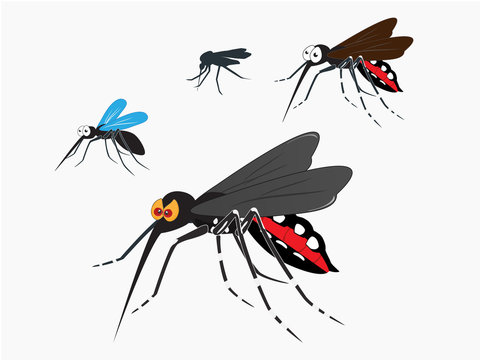 Mosquitoes Aedes Aegypti Bundle