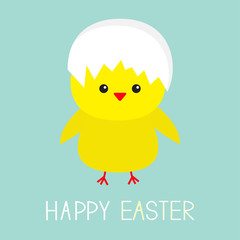 Easter chicken Egg shell on head. Baby background. Flat design.