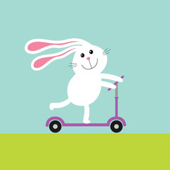 Fototapeta na wymiar Cute cartoon rabbit hare riding a kick scooter. Grass and sky. Baby background. Flat design.