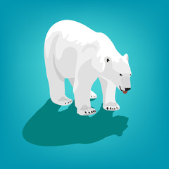 illustration of polar bear on blue background. Eps 10