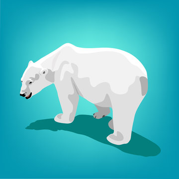 illustration of polar bear on blue background. Eps 10