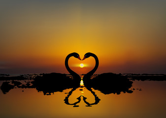 Naklejka premium illustration of two lovers swans at sunset or sunrise. Made in E