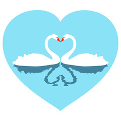 illustration of two white lovers swans in blue heart.