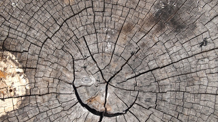 Old cracked wood