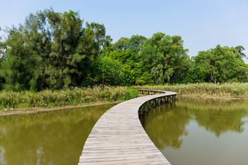 Wooden footbridge across river