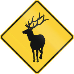 United States MUTCD road sign - warning of large wild animals nearby (elk)