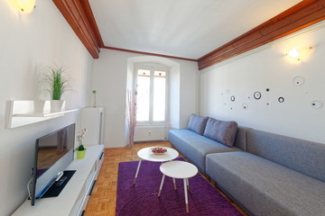 Modern living room with wood floor