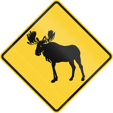 United States MUTCD road sign - warning of large wild animals nearby (moose)