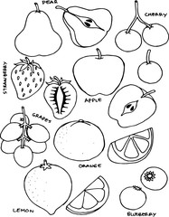 Set of Fruit doodle drawings vector