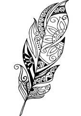 vector feather on a white background. Vintage tribal feather. Series of doodle feather