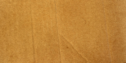 Cardboard Texture