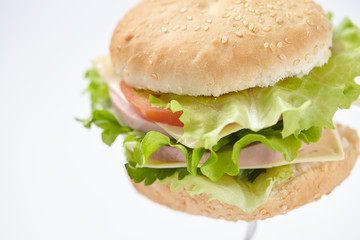 sandwich isolated on white