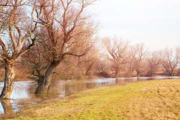Fototapeta premium Flooded river on a mild winter day