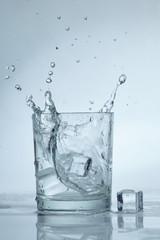 ice cubes in the water