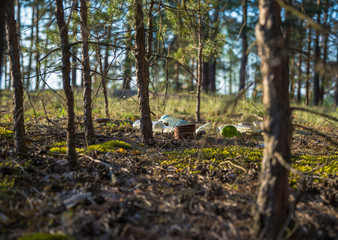 garbage thrown in the woods
