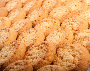 Texture (background) of the cookie in the studio