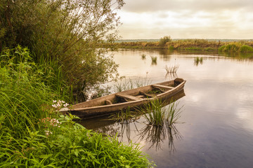 Old wooden boat near the shore of the river - obrazy, fototapety, plakaty