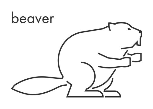 Vector line figure of beaver on a white background.