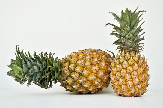 Pineapple pattern on white background © iamtripper