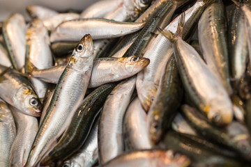 Seafood, Raw sward fish on ice selling in fresh seafood market at Kuromon, Osaka, Japan