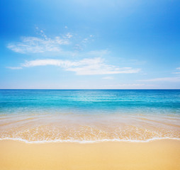 beach and tropical sea