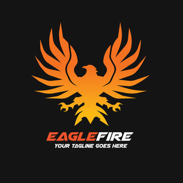 Eagle logo,Bird Logo,Animal logo,Vector Logo Template