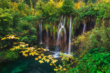 Croatia. Plitvice Lakes. Branch with yellow leaves against the backdrop of a waterfall