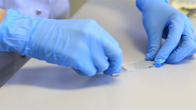 Preparation of smear. Applying a drop of blood on glass slide, and the erosion of its cover glass.