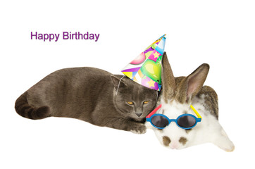 Cartolina d'auguri di buon compleanno: animali vestiti a festa.