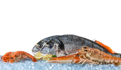 Fresh seafood isolated on white background