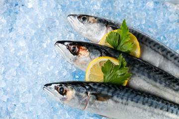 Fish placed on ice drift