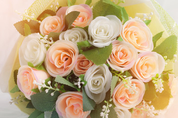 Rose flower Background , Valentine's day.