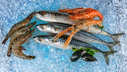 Seafood placed on ice drift