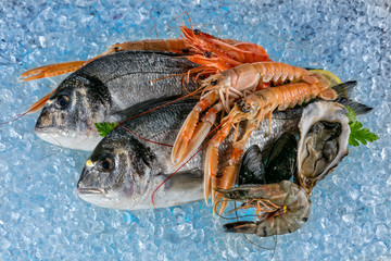 Seafood placed on ice drift