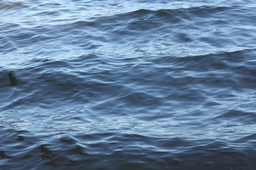 Fototapeta premium Waves