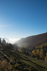 Fototapeta premium Hügel mit Nebel und Laubwald i Herbst