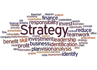 Strategy, word cloud concept 8