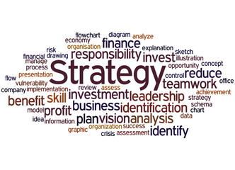 Strategy, word cloud concept 8