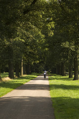 Oak lane, Laren, Gelderland, Netherlands