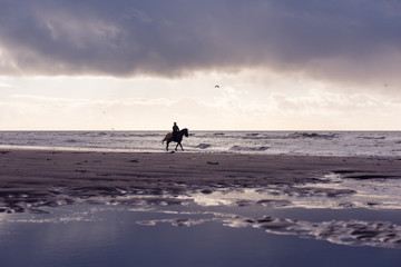 Silhouette of a woman horse riding free on a purple overcast beach at sunset