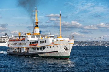 Fototapeta premium Passenger boat in the Bosphorus, Istanbul, Turkey