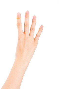 Woman Hand on White Background