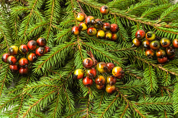 Obraz na płótnie Canvas Christmas decoration. Twig spruce with berries.